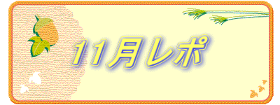 11|